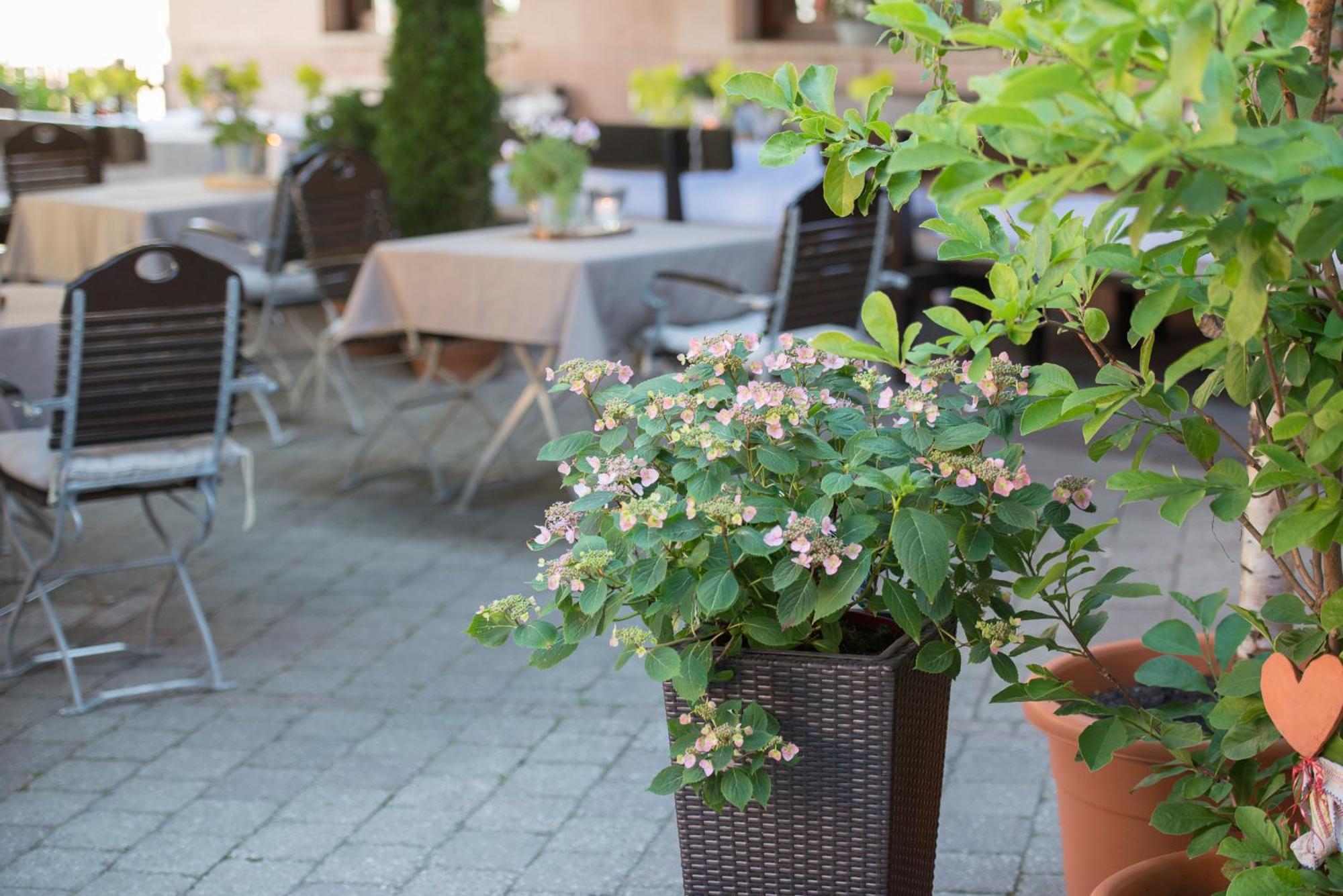 Hotel Landgasthof Weisses Lamm Engelthal Zewnętrze zdjęcie